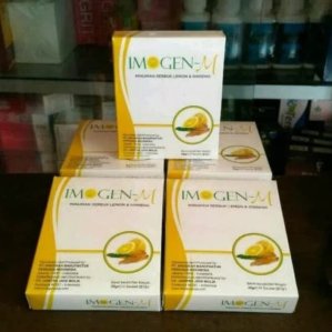Imogen-M Minuman Serbuk Lemon dan Ginseng BPOM